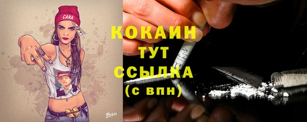ешки Каменногорск