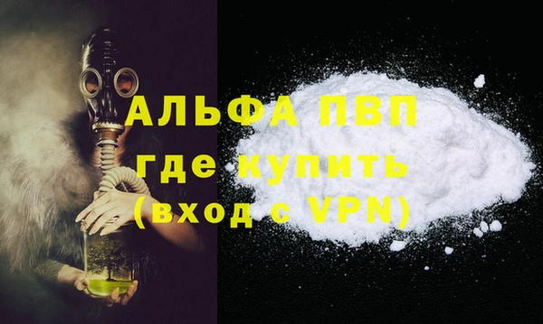 ешки Каменногорск