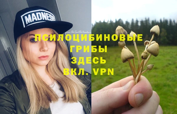 кристаллы Каменка