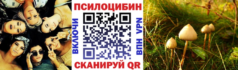 Галлюциногенные грибы мицелий  Грозный 